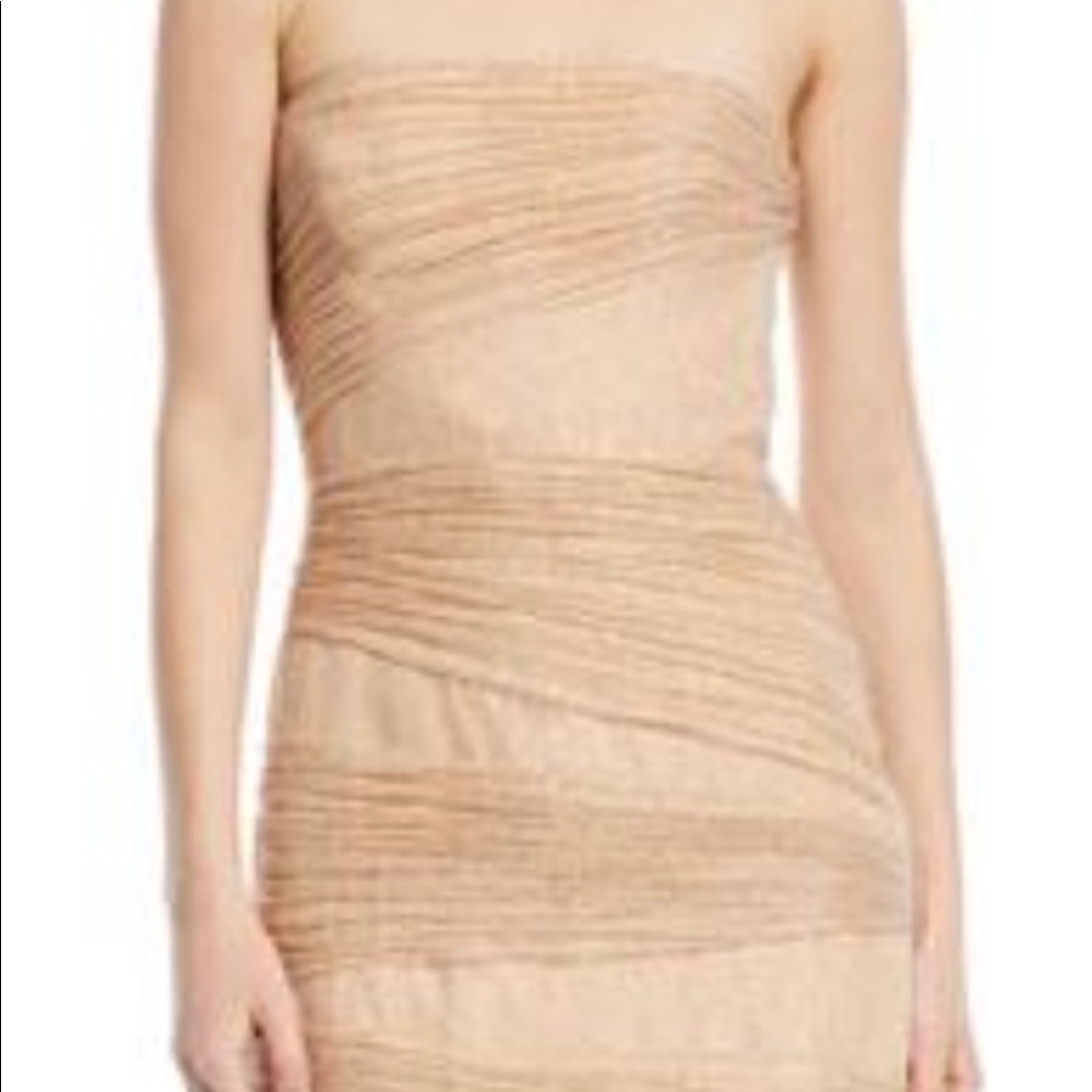 Halston Heritage Strapless Fitted Layer Dress